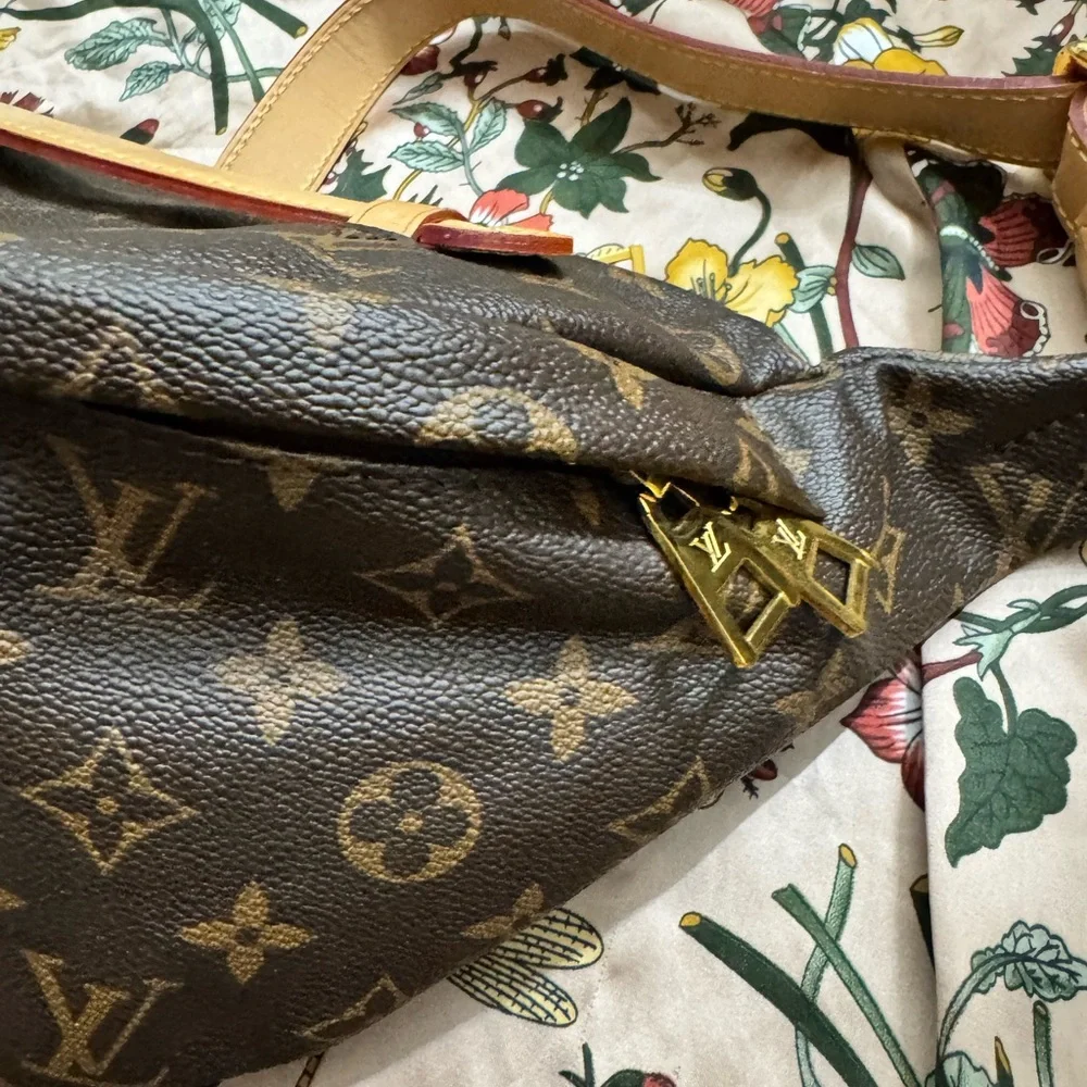 Monogram Bumbag Bag - Picture 8 of 14